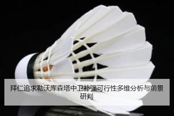 拜仁追求勒沃库森塔中卫补强可行性多维分析与前景研判
