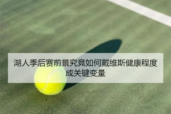 湖人季后赛前景究竟如何戴维斯健康程度成关键变量